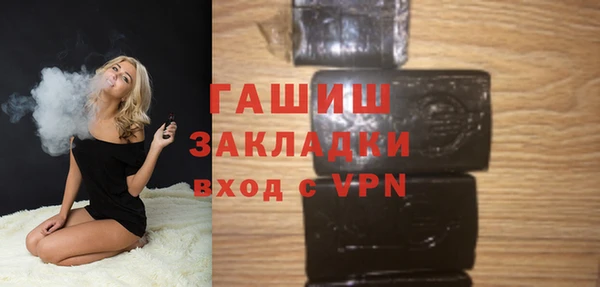 молекула духа Вяземский